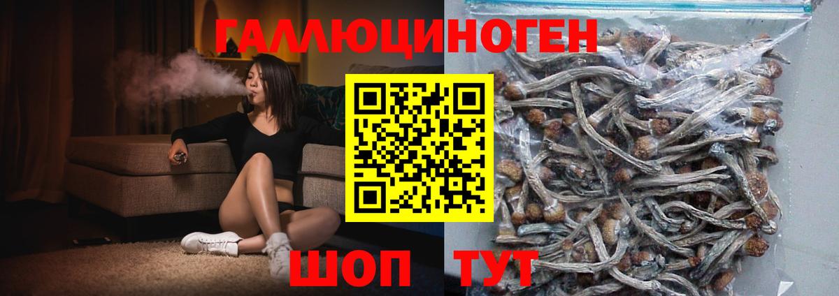 Псилоцибиновые грибы ЛСД Борисоглебск